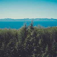 正版软件免费的网络攻击软件